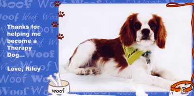 Photo of Riley on a Christmas Card